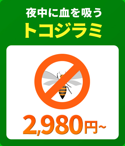 夜中に血を吸うトコジラミ(南京虫)