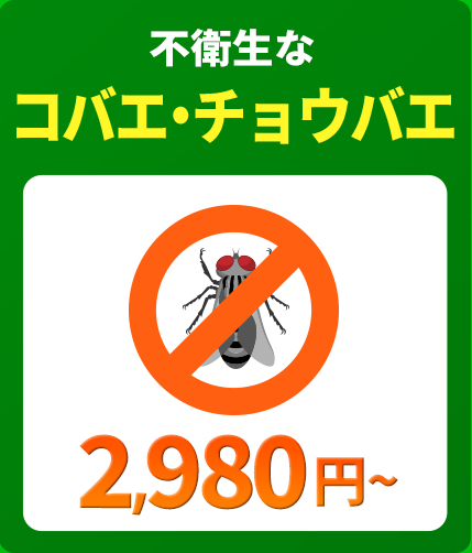 不衛生なコバエ・チョウバエ
