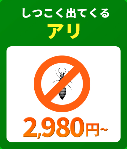 しつこく出てくるアリ