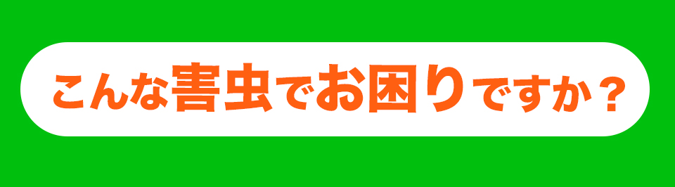 こんな害虫でお困りですか?