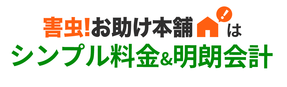 シンプル料金&明朗会計
