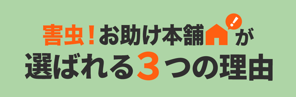 選ばれる3つの理由