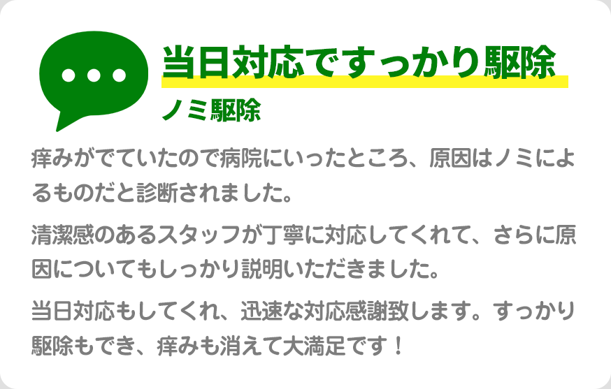 当日対応ですっかり駆除ノミ駆除